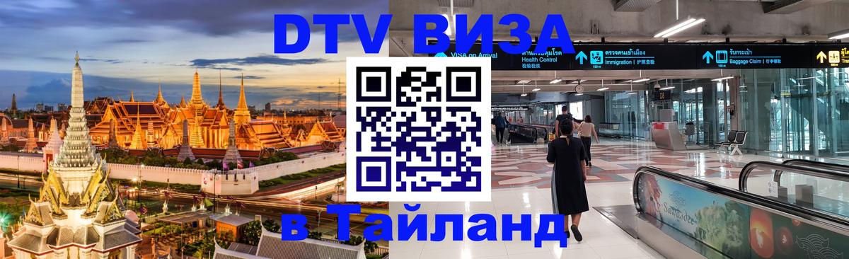 Сколько стоит DTV виза — актуальные цены, оформление даже без документов - Амман  08.01.2026 